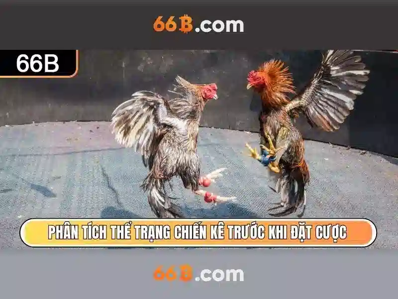 Giới Thiệu 66B
