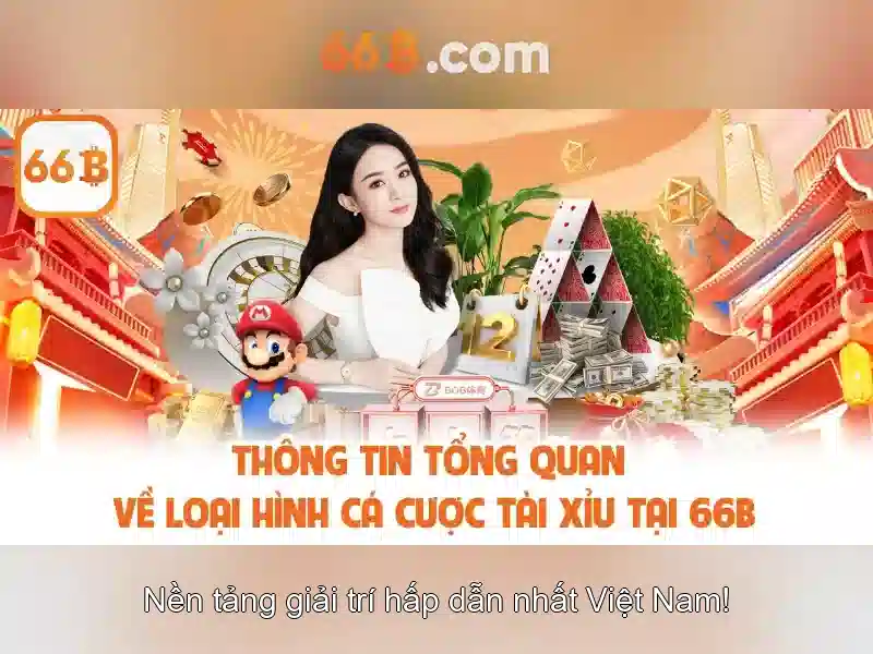 Hướng Dẫn Liên Hệ 66B